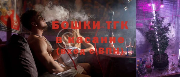 амф Каменка