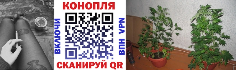 Канабис Bruce Banner  Купить где  Щучье 